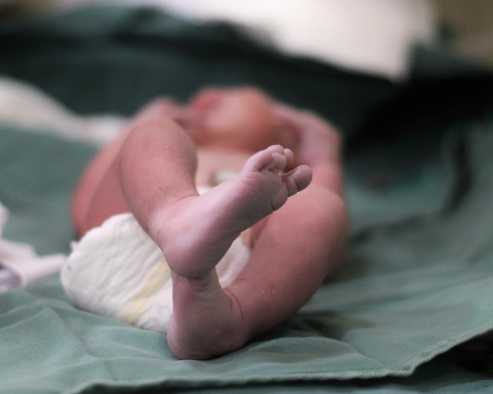 Estructura Web Bmum (84)