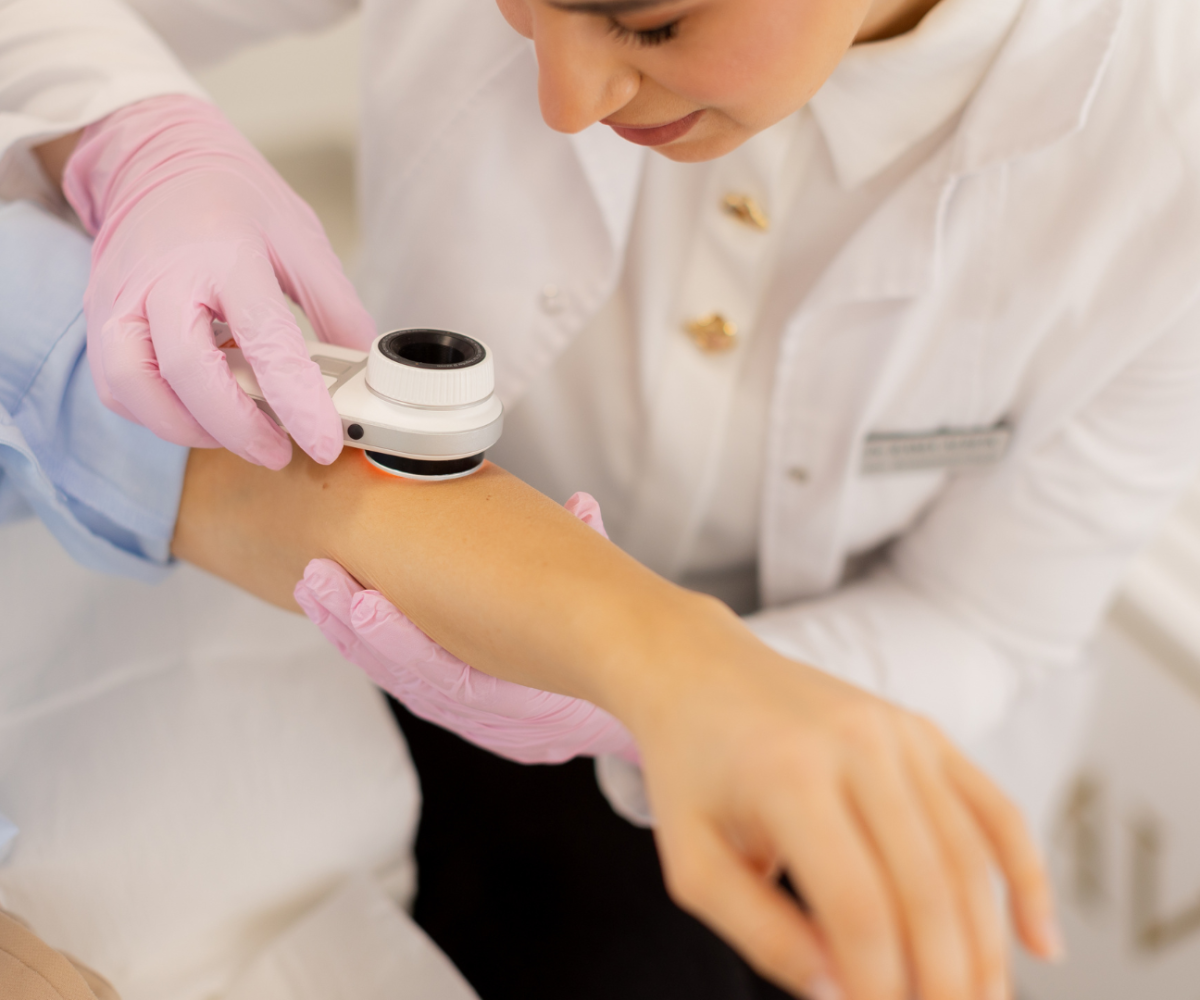 Estructura Web Bmum (92)